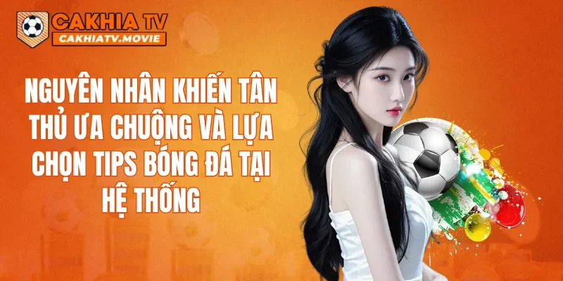Nguyên nhân khiến tân thủ ưa chuộng và lựa chọn Tips Bóng Đá tại hệ thống