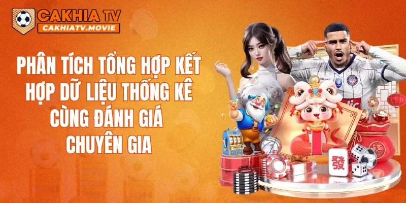 Phân tích tổng hợp kết hợp dữ liệu thống kê cùng đánh giá chuyên gia