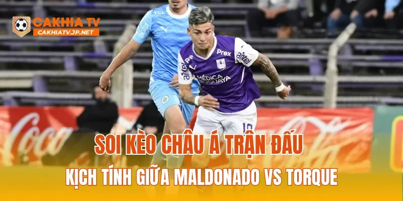 Soi kèo Châu Á trận đấu kịch tính giữa Maldonado vs Torque